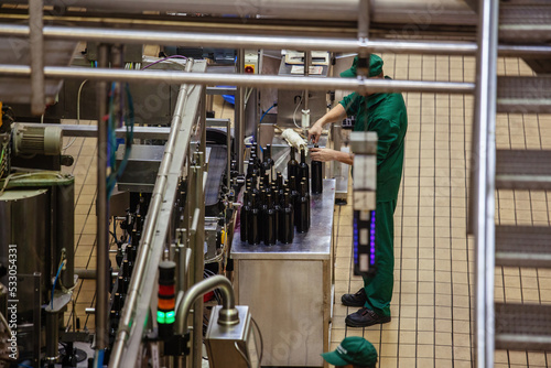 Bottling and sealing wine conveyor production line at modern winery