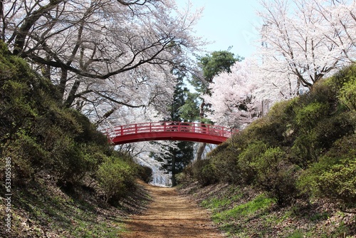 Kasuga Park, Ina in Spring