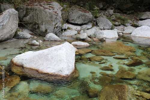 Forest and river in rural Nagano, Japan