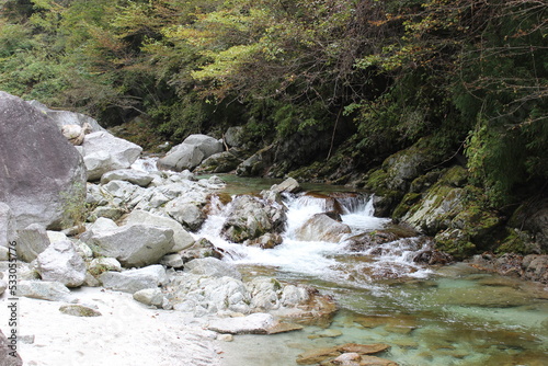 Forest and river in rural Nagano, Japan