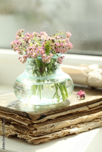 Beautiful Forget-me-not flowers and old book on window sill