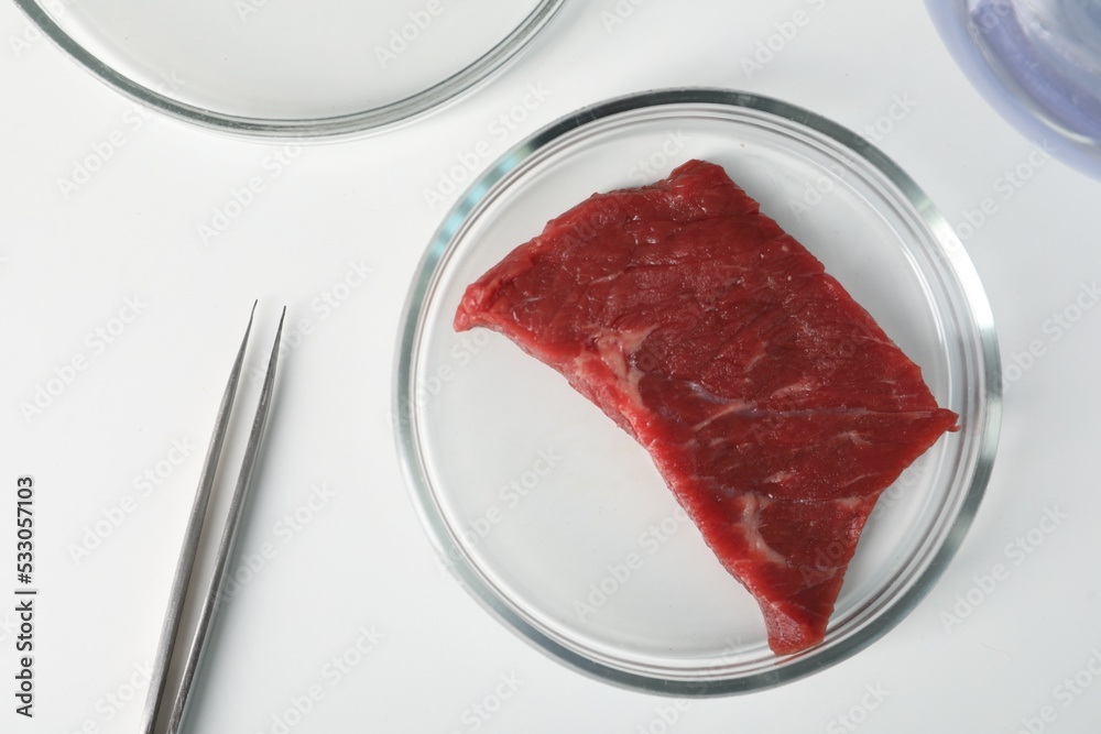 Petri dish with piece of raw cultured meat and tweezers on white table, flat lay Petri dish with piece of raw cultured meat and tweezers on white table, flat lay