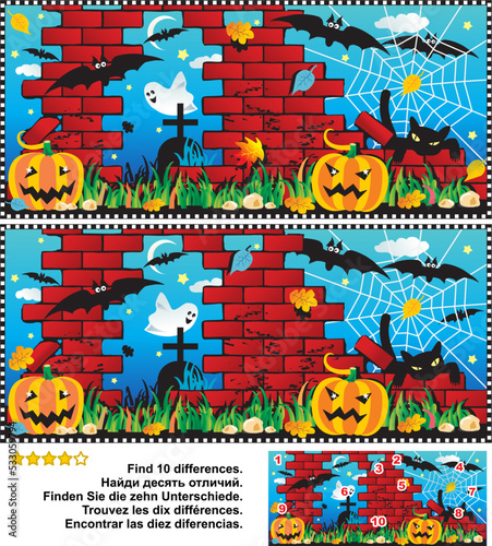 Difference game. Halloween night, pumpkin field, ruine, cemetery, ghost, bats, black cat, spider web. Answer included.
