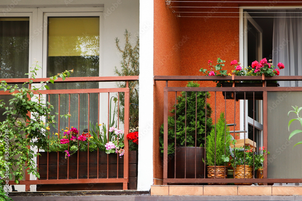 Balcony decorated with beautiful flowers and green plants