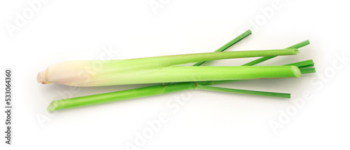 Fresh lemongrass plant with leaf isolated on white background   top view   flat lay.