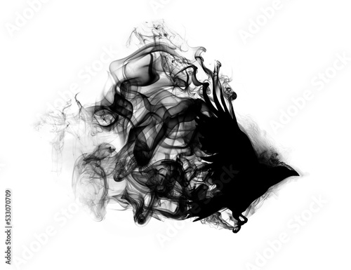 Silhouette of a flying raven with spread wings in beautiful puffs of black smoke. Silhouette of a flying raven in clouds of smoke.