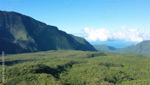 Aerial view of forest and mountains, Col de Bebour, Reunion Island. photo