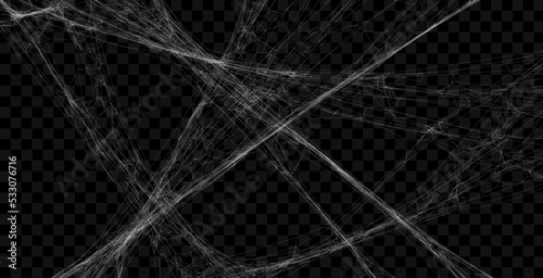 Realistic spider web background texture. Hanging cobweb for halloween design. Vector illustration.
