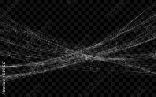 Realistic spider web. Hanging cobweb for halloween design. Vector illustration. photo