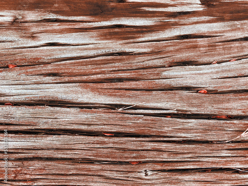 Closeup natural wood grain panel ship deck rotten old vintage worn weathered dark shipwreck backdrop board