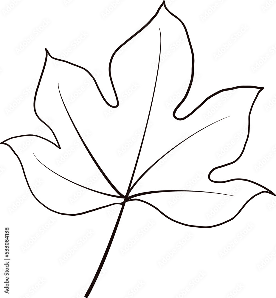 Maple leaf lines hand drawn. Maple leaf lines hand drawn.
