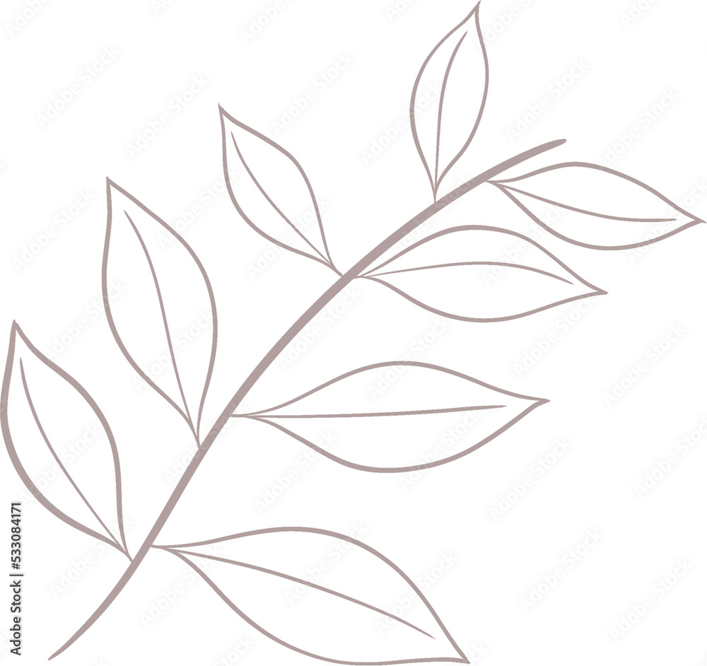 leaf hand drawn leaf hand drawn