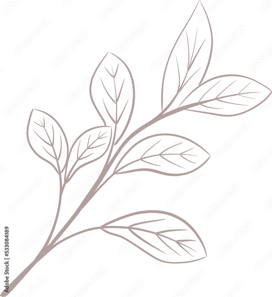 leaf hand drawn leaf hand drawn