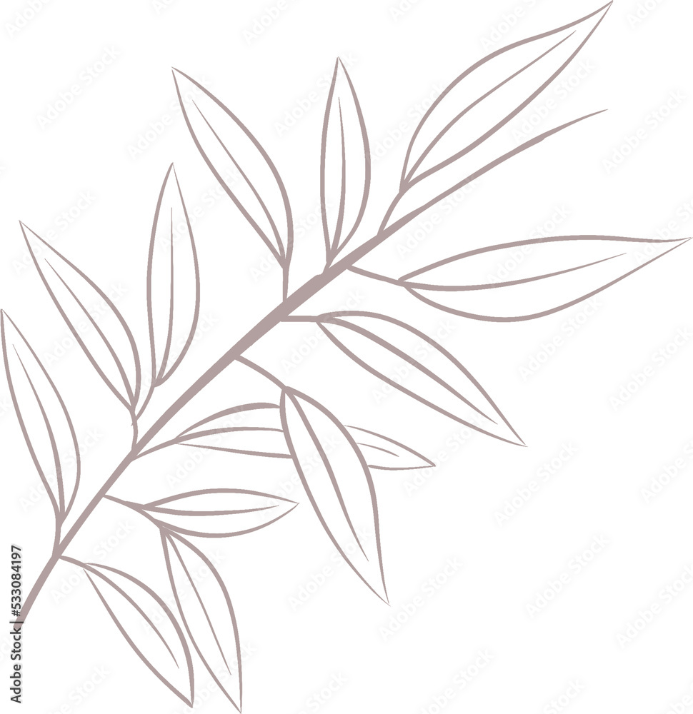 leaf hand drawn leaf hand drawn