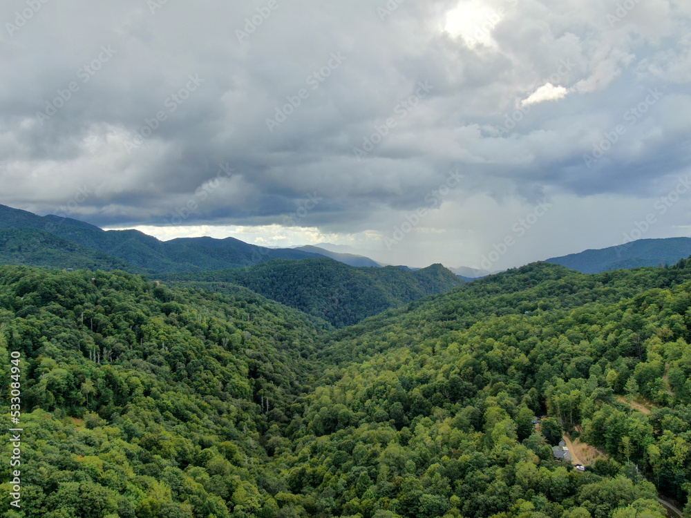 Fototapeta premium default