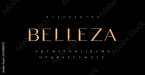 Belleza Elegant alphabet letters font and number. Typography luxury classic lettering serif fonts decorative for logo wedding vintage retro concept. vector illustration
