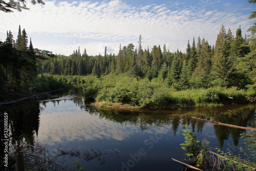 Fototapeta Naklejka Na Ścianę i Meble -  Kanada - Algonquin Provincial Park / Canada - Algonquin Provincial Park /