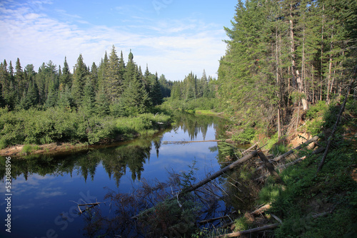 Fototapeta Naklejka Na Ścianę i Meble -  Kanada - Algonquin Provincial Park / Canada - Algonquin Provincial Park /