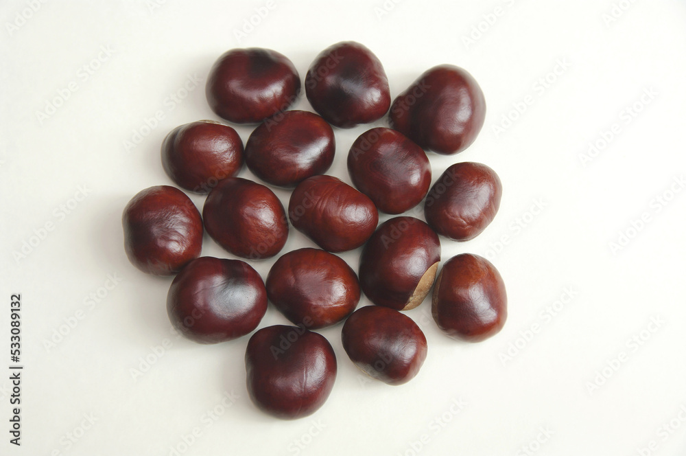 Chestnuts close-up on a white background. Horse chestnut fruit. Selective focus. Chestnuts close-up on a white background. Horse chestnut fruit. Selective focus.