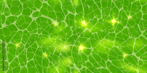 Abstract green background or plant cells texture under a microscope seamless pattern. Leaf tissue layer vector macro illustration. Microbiology wallpaper. Scientific structure.