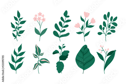 Set of modern flowers elements.Flower and green leaves.Hand draw botanical.