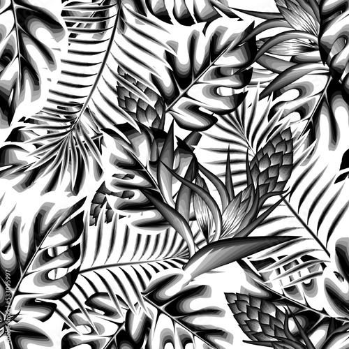 vintage jungel background seamless pattern with gray monochromatic tropical monstera palm leaves and abstract flower plant foliage on white background. Floral background. Exotic tropic. Summer. spring