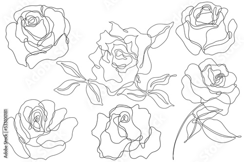 Rose flower png. Set of hand drawn sketches. Line Ink drawing.