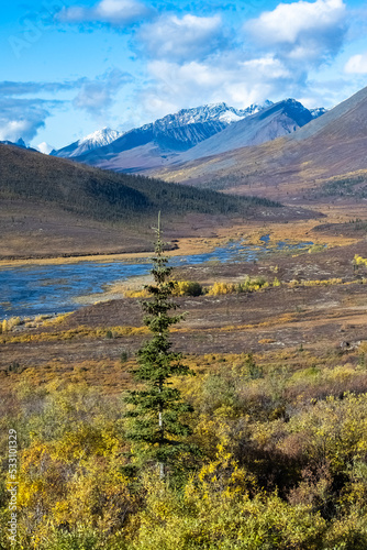 Yukon in Canada  wild landscape in autumn of the Tombstone park 