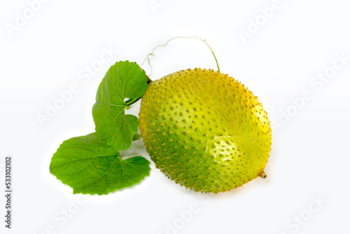 Fotografie A Spiny Bitter Gourd, Sweet Gourd or Cochinchin Gourd on white background