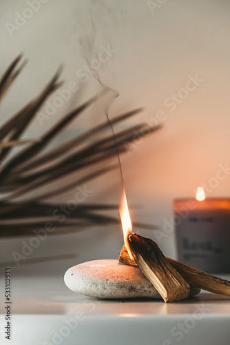 Palo Santo sticks on a light background.Aromatherapy religious rituals meditation.Wellness with aromatherapy and the occult.Healing incense Palo Santo.Organic incense of the holy ritual tree.Ibiokai