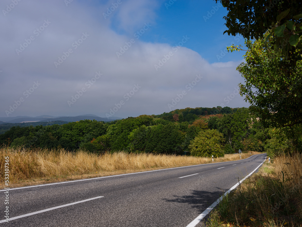 Naklejka premium Landstraße Wald Fernsicht