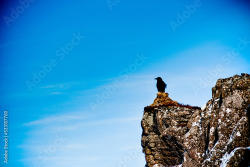 Silhouette of a raven standing on a rock with snow 