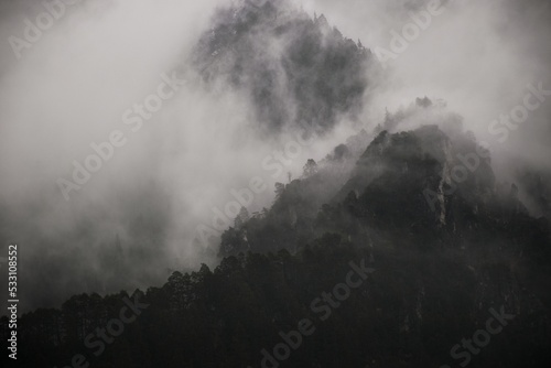 mountain forests in the fog