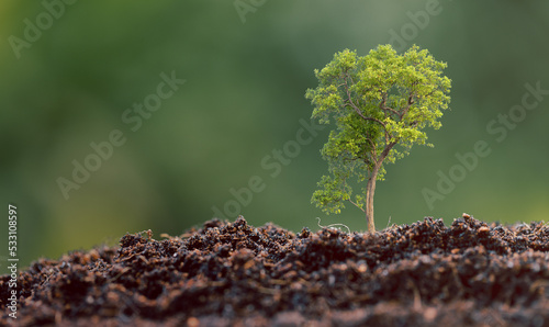Seedling plant growing on green nature environment background. interest bank, business investment growth idea. grow loan, saving earning economic, finance and accounting concept