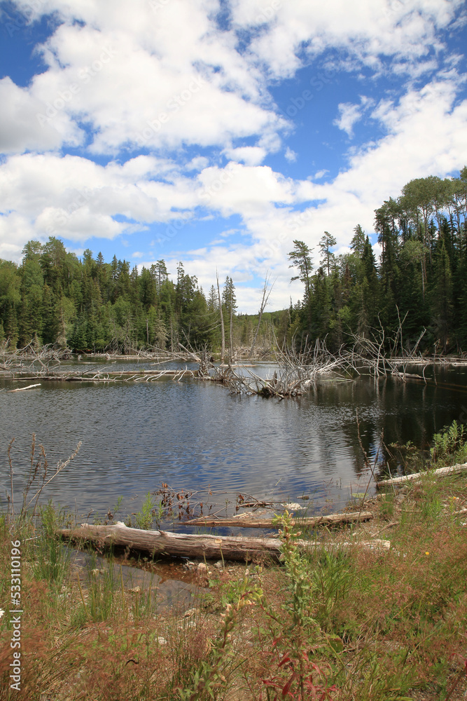 Chapleau Crown Game Preserve / Chapleau Crown Game Preserve / Chapleau Crown Game Preserve / Chapleau Crown Game Preserve /