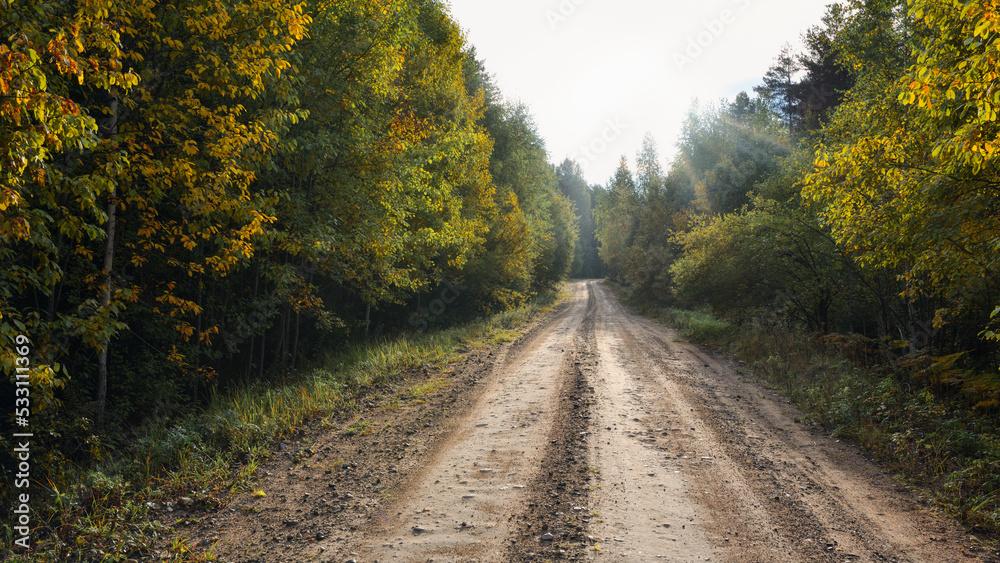 Dirt road with a beautiful autumn forest on the sides. The sun's rays slide along the road and fall on the autumn forest.