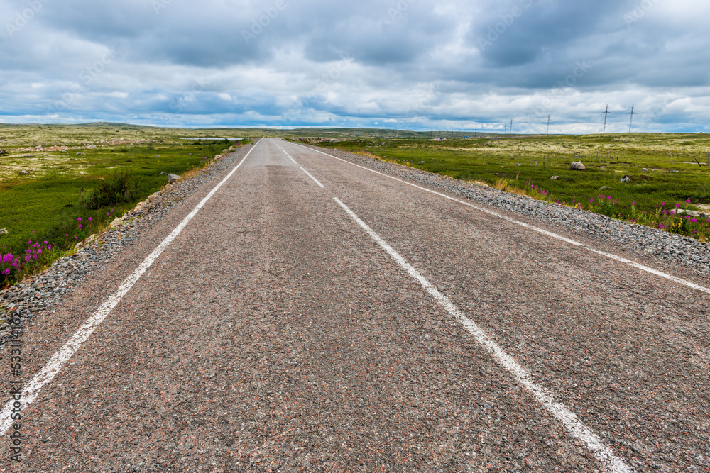 Asphalt road in polar tundra landscape. Far North of Russia