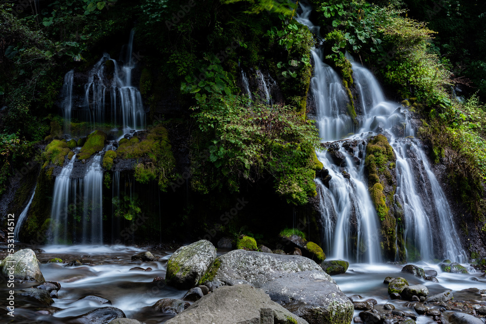 Fototapeta premium 美しい滝 山梨県吐竜の滝