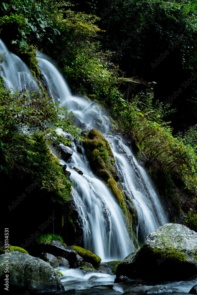 Fototapeta premium 美しい滝 山梨県吐竜の滝