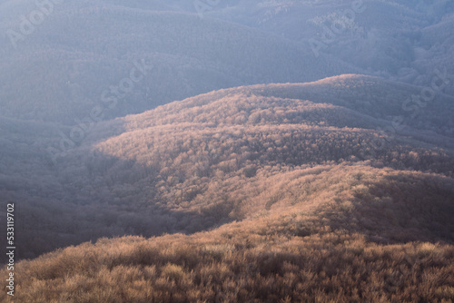 Autumn coloured forest catching the first light during sunrise, Europe, Slovakia photo