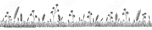 Grass and flower graphic black white isolated long sketch illustration vector © aluna1