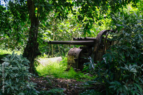 WW2 anti aircraft guns found in the jungle on the remote tropical island of Pohnpei in Federated States of Micronesia FSM photo