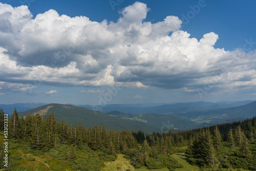 Beautiful hilly area on a sunny day in summer. Picturesque scene in the Carpathians mountains, Ukraine © OlegD