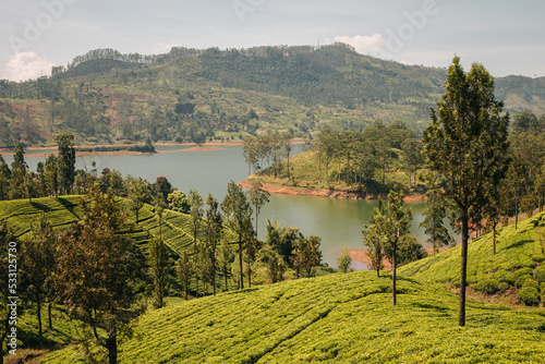 Hatton, Sri Lanka - January 24th, 2022 : view over the tea plantations and a reservoir lake with mountains in the background photo