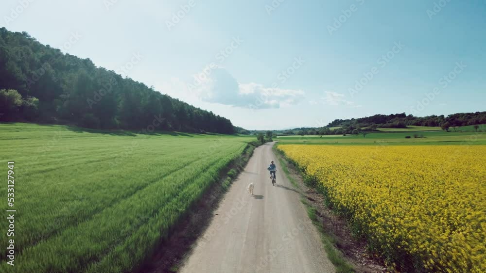 Video of beautiful young girl riding a bike while walking her dog in the park through rapessed field. Video of beautiful young girl riding a bike while walking her dog in the park through rapessed field.