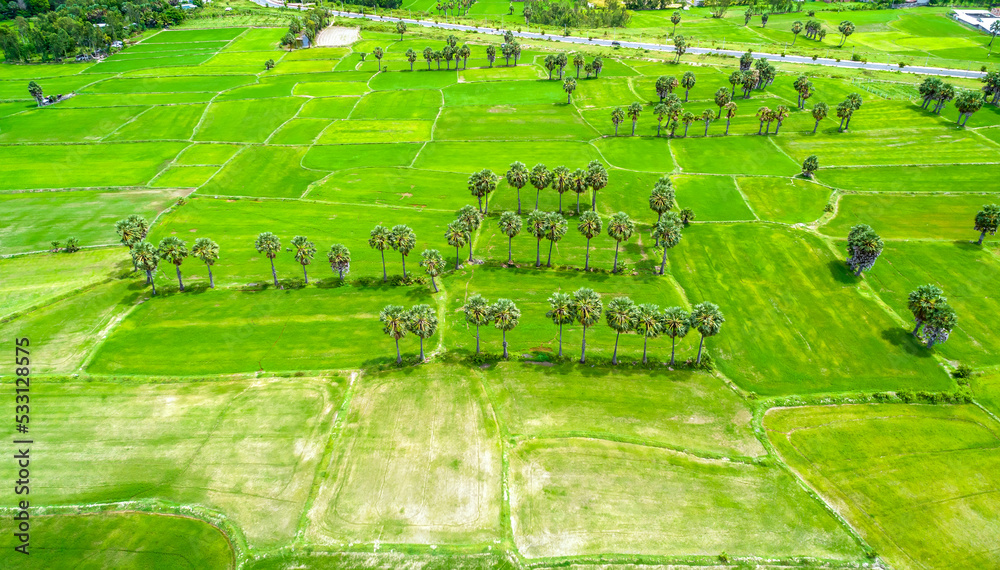 Foto De Ta Pa Rice Fields Are Beautiful In The Morning Interspersed Foto De Ta Pa Rice Fields Are Beautiful In The Morning Interspersed