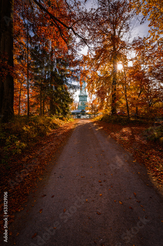 Herbstliche Wanderung zum Josephskreuz bei Stolberg im Südharz (Sachsen-Anhalt)