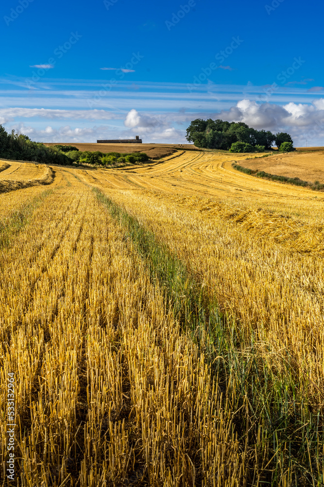 Paysage campagne 1426