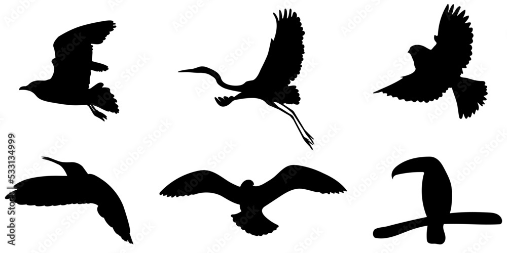 Obraz premium Set of silhouette of birds. Vector illustration isolated on white background