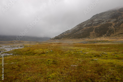 fog in the mountains